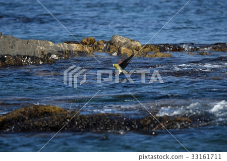 Aobato登陸海面 33161711
