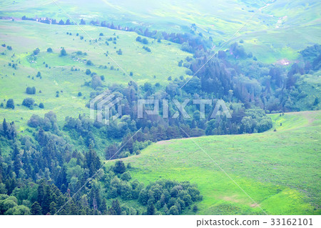 Scenic view of mountain meadow Scenic view of mountain meadow 33162101