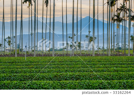 近在咫尺 近在咫尺 33162264