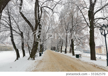 Winter park alley. Rzeszow. Poland 33162570