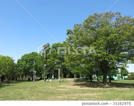 Nagareyama City General Sports Park野餐廣場 Nagareyama City General Sports Park野餐廣場 33162978