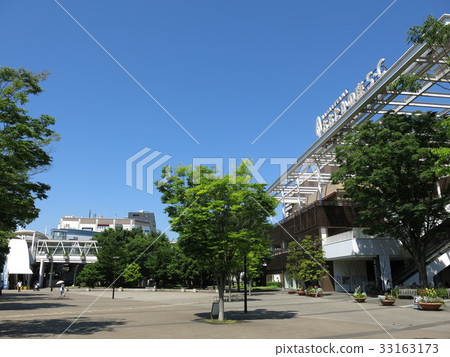 Zelkova的新鮮綠色是美麗的Nagareyama Ootaka森林站南口城市廣場 Zelkova的新鮮綠色是美麗的Nagareyama Ootaka森林站南口城市廣場 33163173
