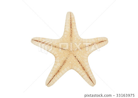Starfish 33163975