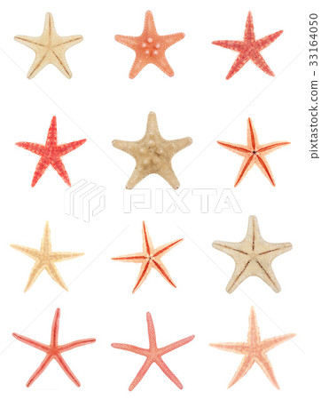 Starfish 33164050