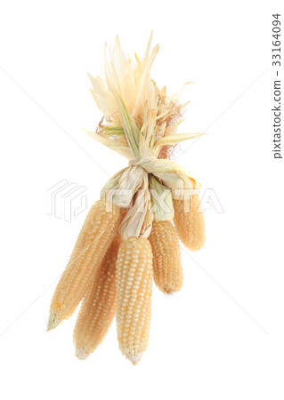 corn for popcorn 33164094