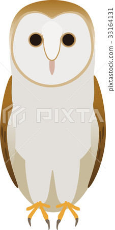 倉owl 倉owl 33164131