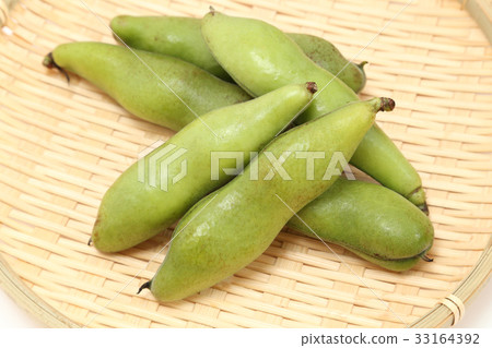 蠶豆 33164392
