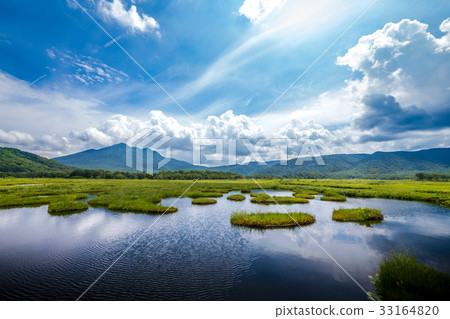[Oze] We look forward to summer, Mt. 33164820