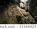 Yodo-dong / Okinoerabu-jima 33164929