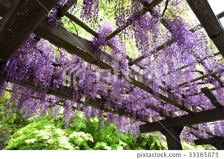 Toba no Fuji noda fuji 33165873