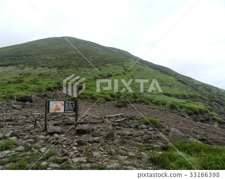 Summer days 33166398