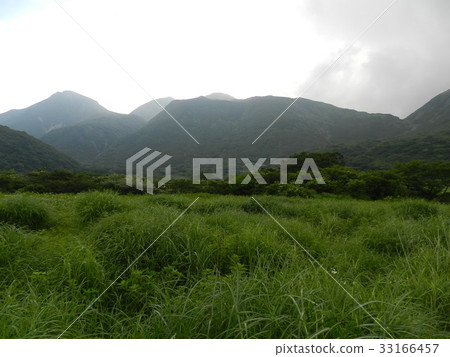 Summer days 33166457