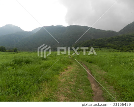 Summer days 33166459