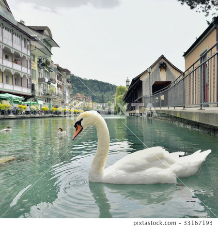 Thun city and river Aare Switzerland  23 july 2017 33167193