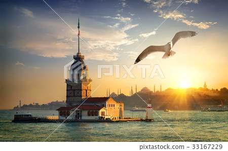 Seagull and Maiden Tower 33167229