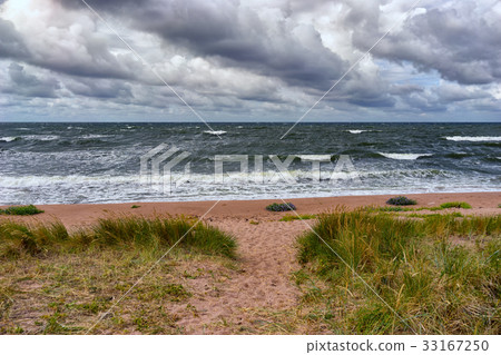 The sandy beach of the Baltic in a storm The sandy beach of the Baltic in a storm 33167250