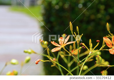 等到薩沙 等到薩沙 33170412