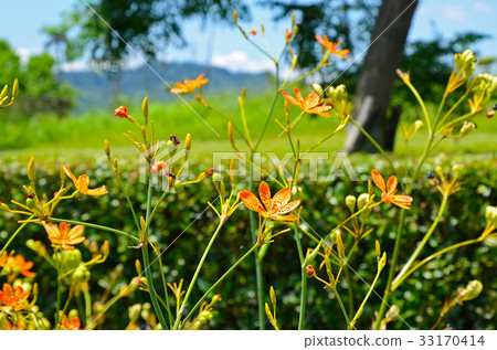 等到薩沙 等到薩沙 33170414