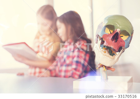 Focused photo on artificial skull that being on Focused photo on artificial skull that being on 33170516