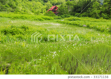 Tsugaike Nature Park 33171138