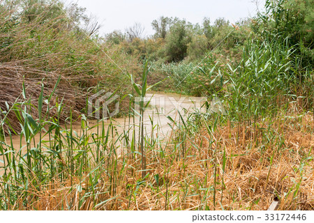 Jordan river , Israel Jordan river , Israel 33172446