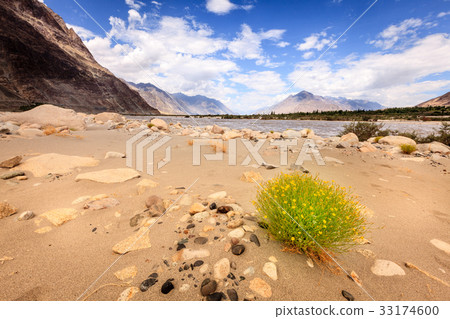 Nubra River 33174600