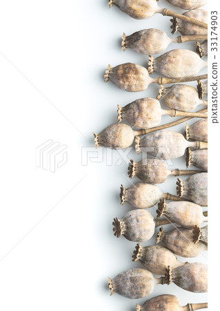 Dried poppy heads. 33174903