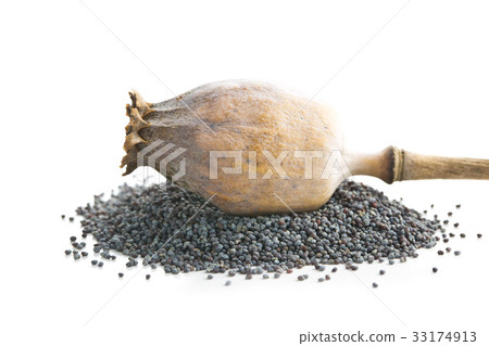 Dried poppy heads and seeds. 33174913