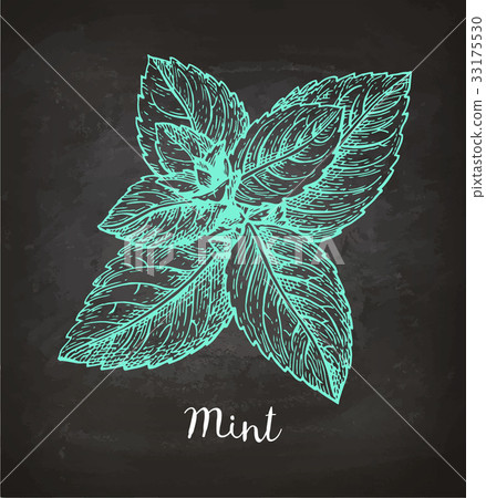 Chalk sketch of mint 33175530