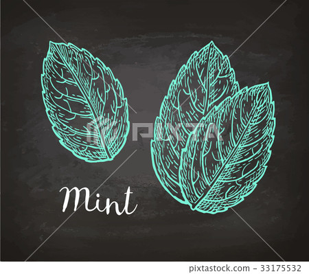 Chalk sketch of mint 33175532