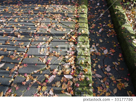 輕石卵石 33177780