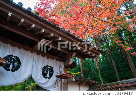京都Komyoji秋葉 33179417