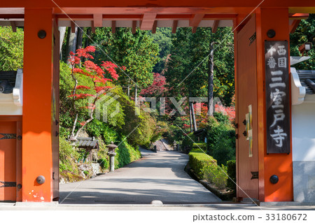 京都Mimurotoji山門 33180672