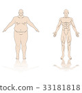 anatomy male 33181818