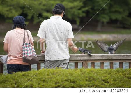 Old couple park dove 33183824