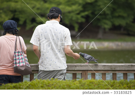 Hato park couple Hato park couple 33183825