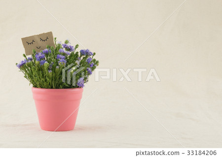 Purple cutter flowers bouquet in pink pot 33184206