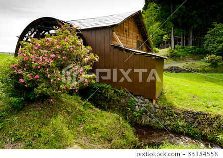 Water mill and paddy field 33184558