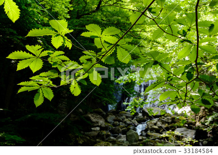 Mountain stream waterfall Mountain stream waterfall 33184584