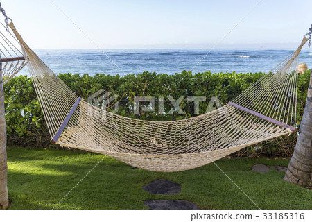 吊床，威基基，檀香山，瓦胡島，夏威夷，美國 33185316