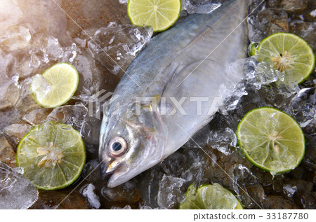 Trevally fish or jack frozen in ice . 33187780
