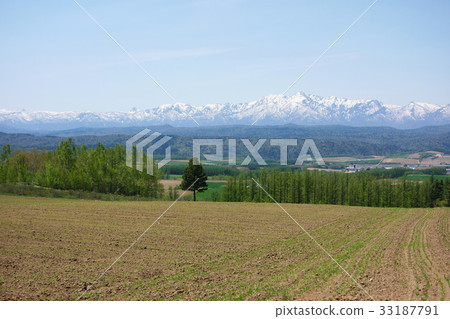 在Nobokyo天文台附近的一棵風景樹 33187791