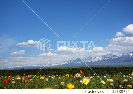 富良野春天圖像素材 富良野春天圖像素材 33188235