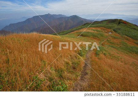 Grass autumn leaves of Mt. Shodake and Mt. Kurayama, a ridge leading to Mt. Arasawa Grass autumn leaves of Mt. Shodake and Mt. Kurayama, a ridge leading to Mt. Arasawa 33188611