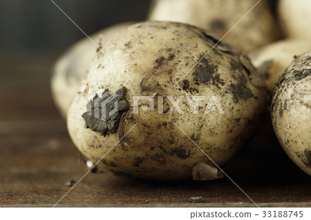 Young potato unwashed Young potato unwashed 33188745