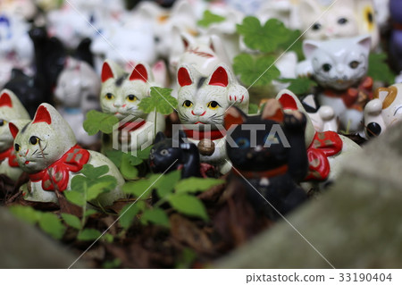 Awashima Shrine beckoning cat 33190404