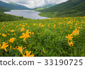 Nomusho的Nikko Kishige 33190725