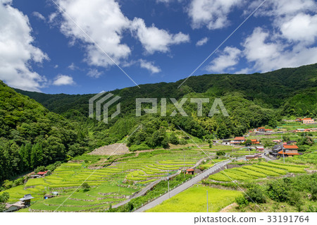 大谷田田 33191764