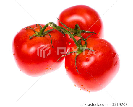 Washed fresh ripe tomatoes with water droplets Washed fresh ripe tomatoes with water droplets 33192023