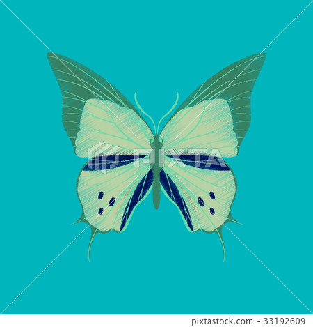 flat shading style icon butterfly flat shading style icon butterfly 33192609